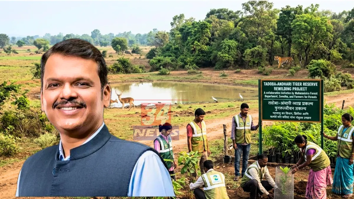 Ballarpur Gold Theft । बल्लारपूर-वरोरा बस प्रवासात महिलेचे १ लाखांचे दागिने लंपास Ballarpur Gold Theft । बल्लारपूर-वरोरा बस प्रवासात महिलेचे १ लाखांचे दागिने लंपास