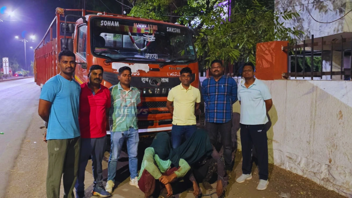 Cattle Smuggling Chandrapur