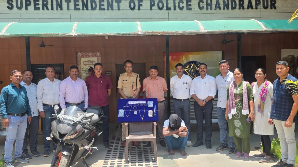 ताडोबा-अंधारी व्याघ्र प्रकल्पात tadoba wildlife census दरम्यान मचाणावरून दिसलेला वाघ, चंद्रपूर जिल्हा ताडोबात किती वाघ? Tadoba wildlife census चे आकडे जाहीर