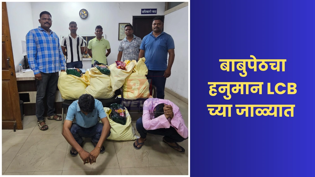 बाबुपेठ, चंद्रपूर येथे LCB ने जप्त केलेले हुक्का शिशा तंबाखूचे पॉकिट | Hookah Tobacco Raid Chandrapur