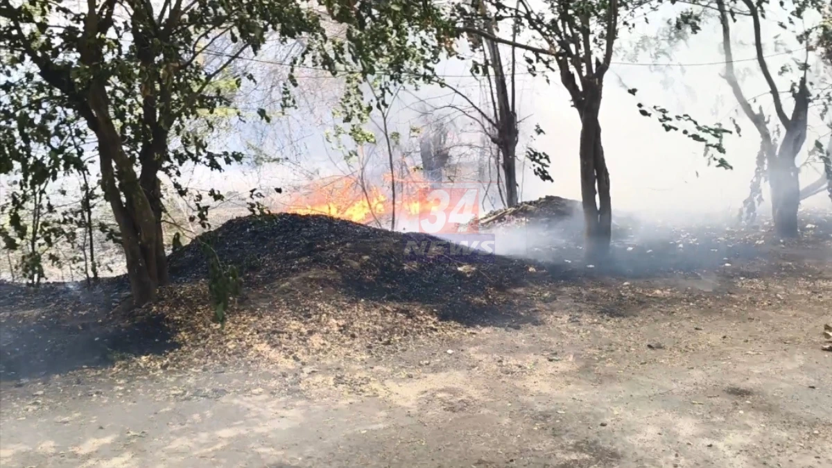 खासदार आहात मालक नाही - विजय वडेट्टीवार खासदार आहात मालक नाही - विजय वडेट्टीवार