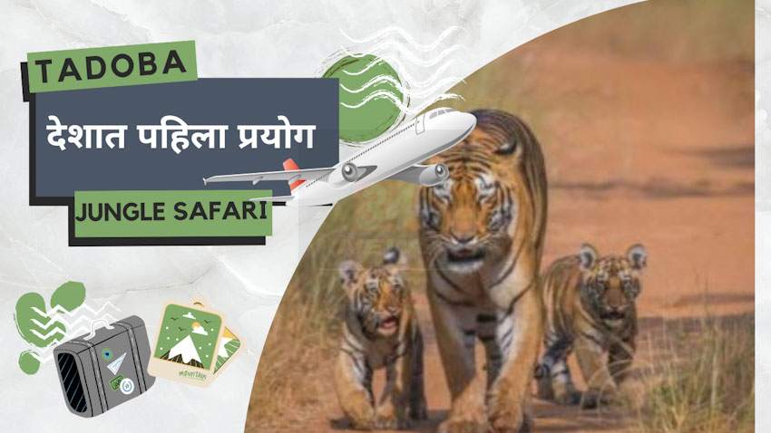 Electric vehicle in tadoba forest