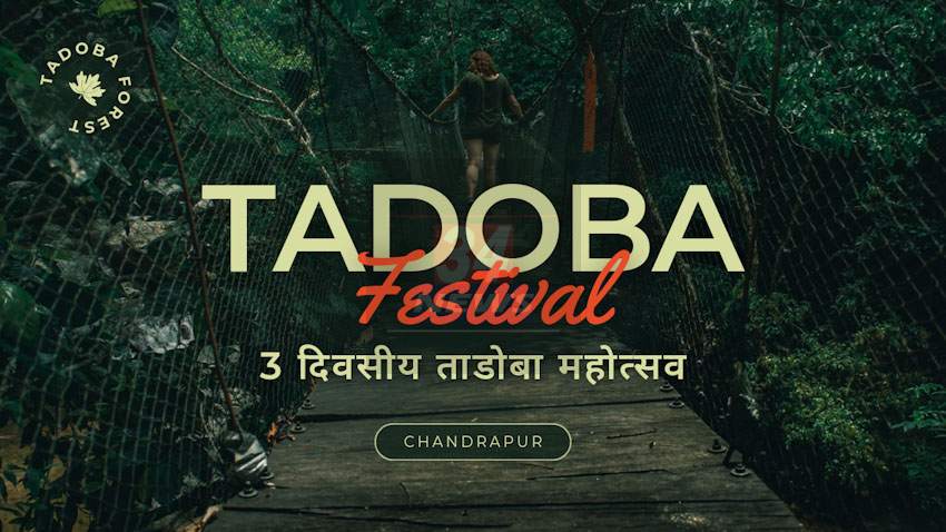 Tadoba festival