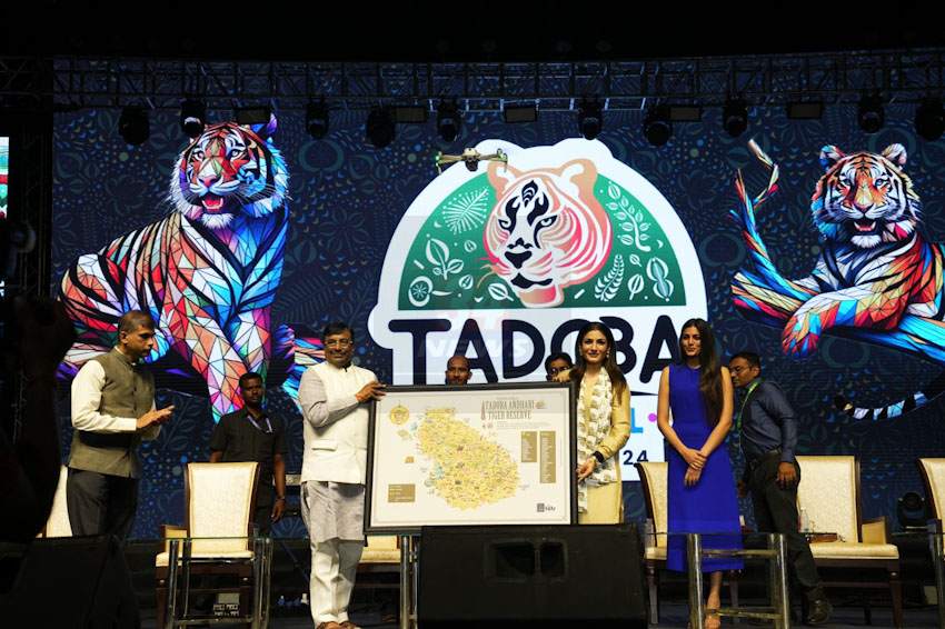 Tadoba festival in chandrapur