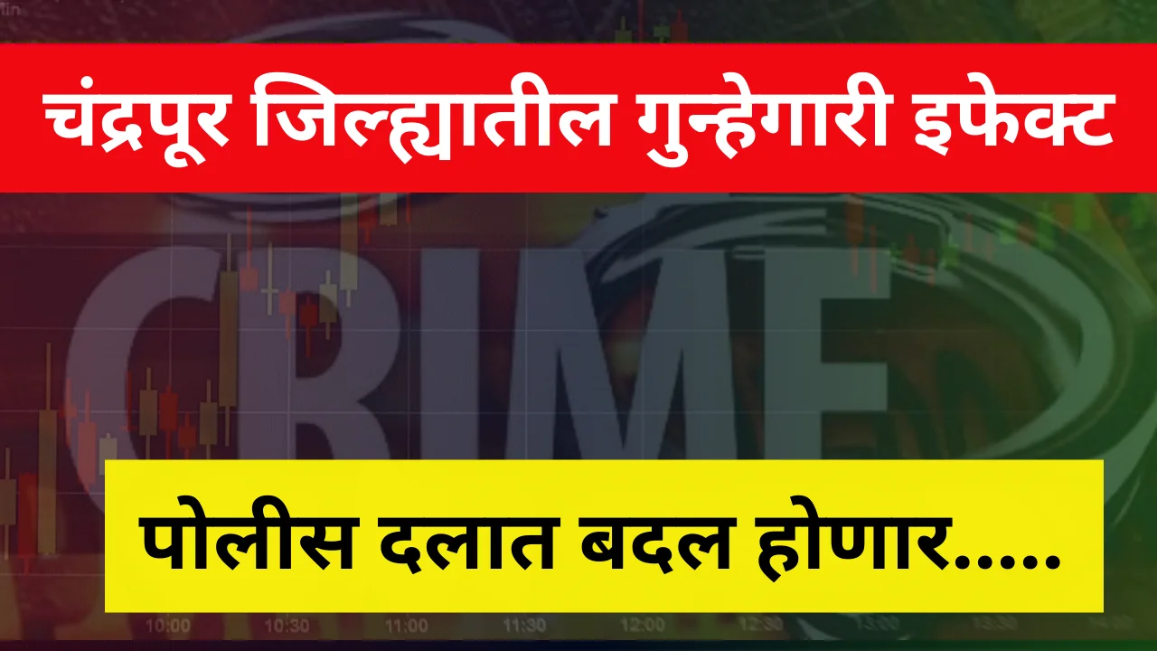 Chandrapur crime