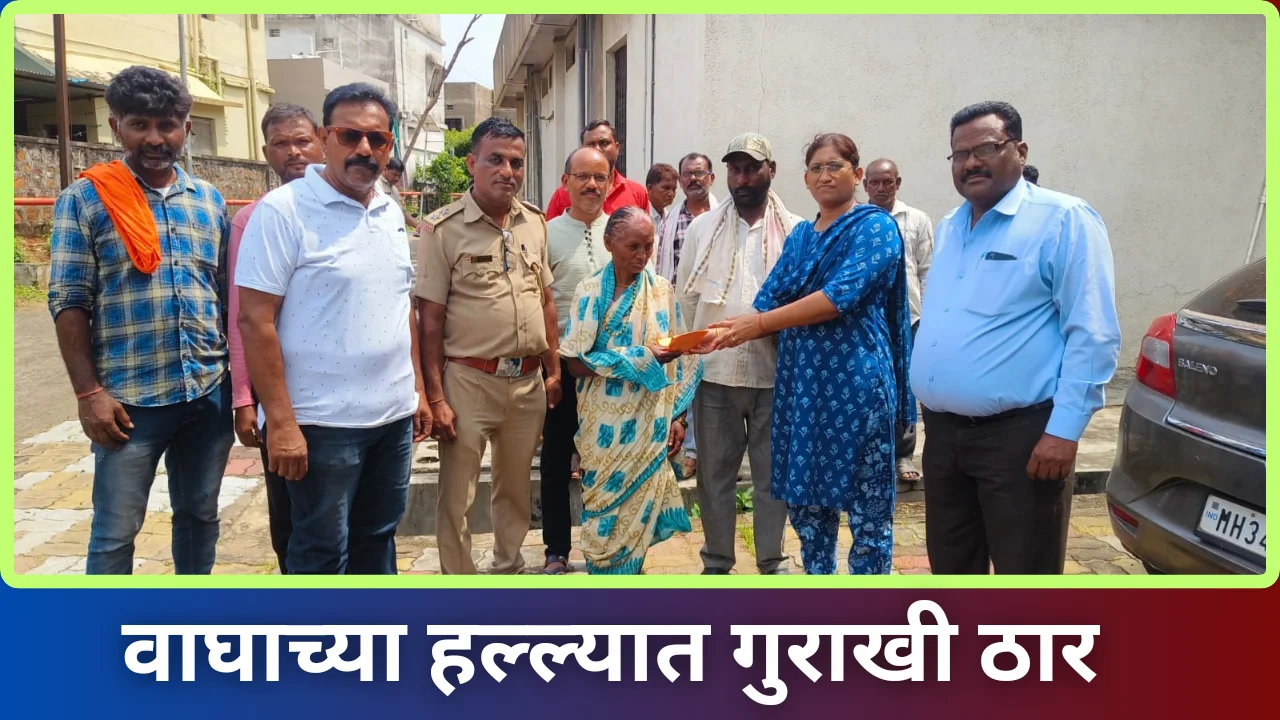 Tiger attack in chandrapur district