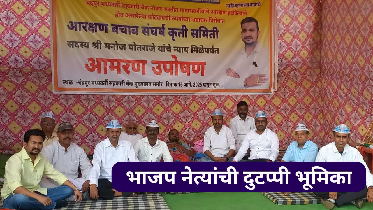 Aap Party On Cdcc bank