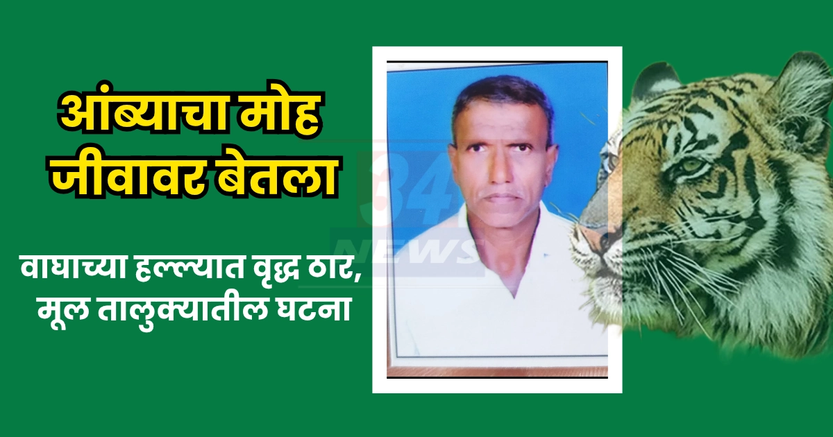 tiger attack in forest areas