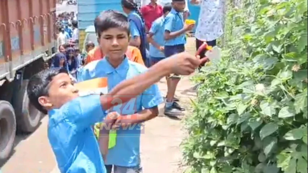 fruit seed reforestation