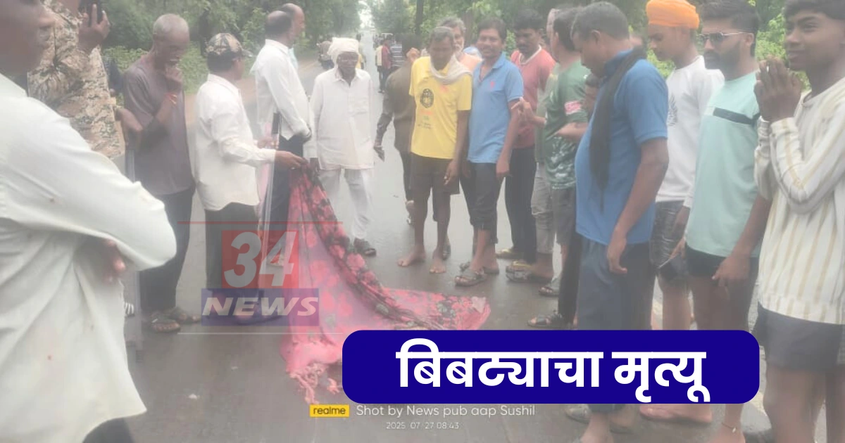 leopard road accident