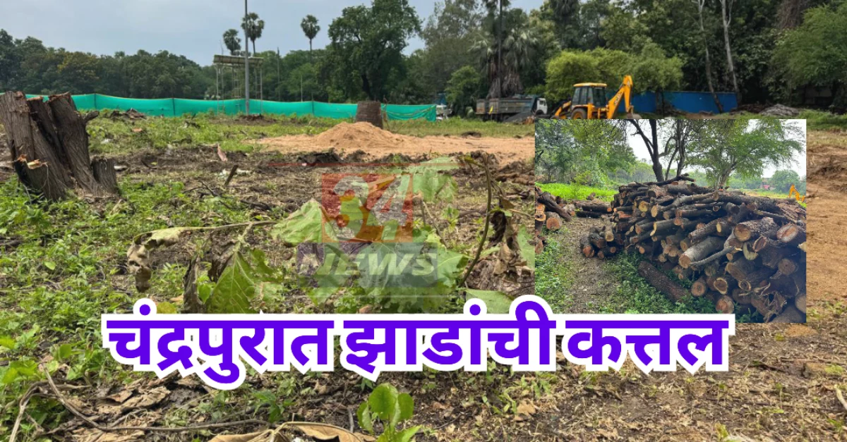 rambagh ground tree felling