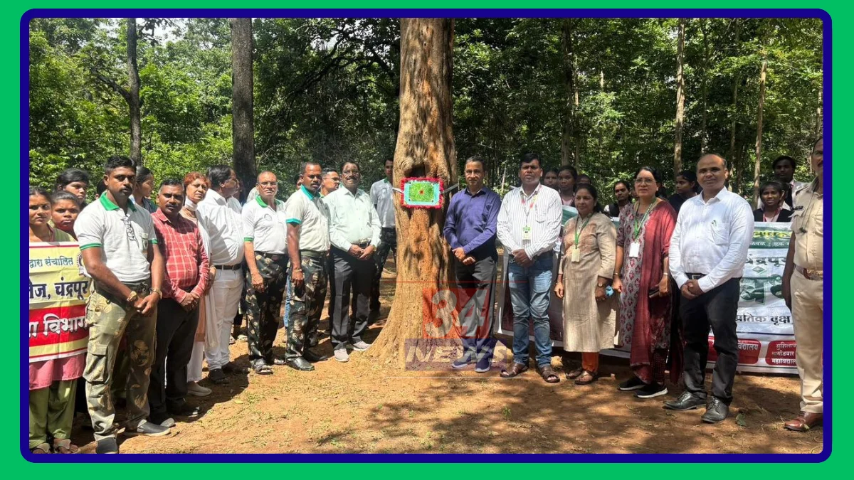 chandrapur environmental rakshabandhan