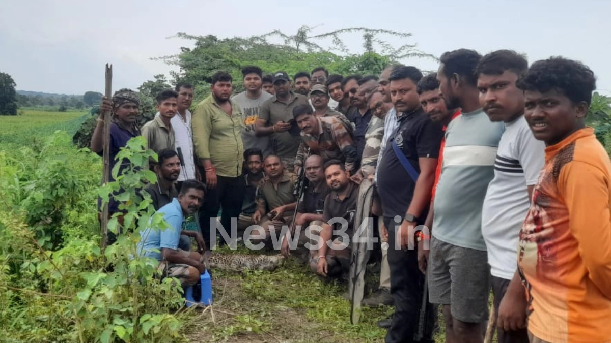 male leopard found dead