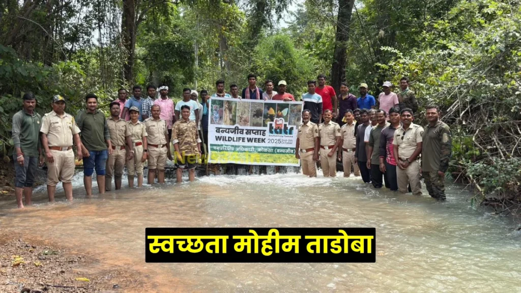 tadoba gandhi jayanti
