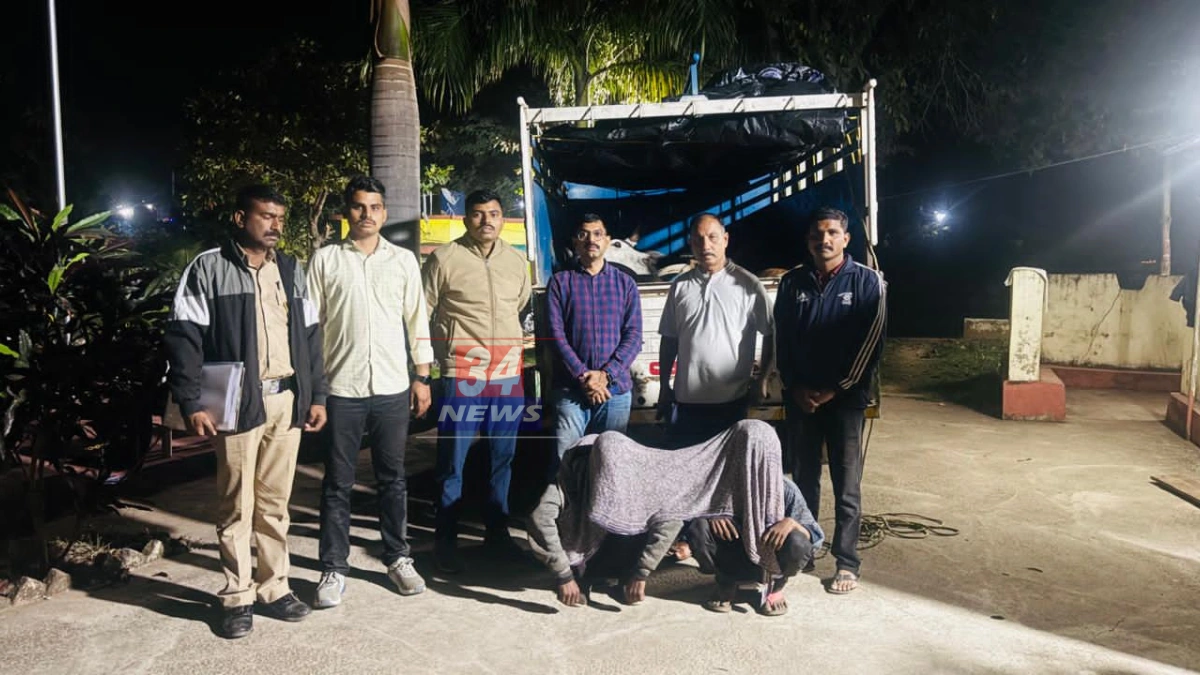 Chandrapur illegal cattle transport case