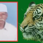chandrapur farmer killed tiger attack
