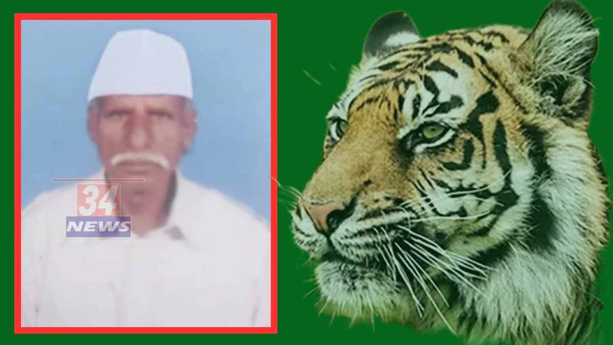 chandrapur farmer killed tiger attack
