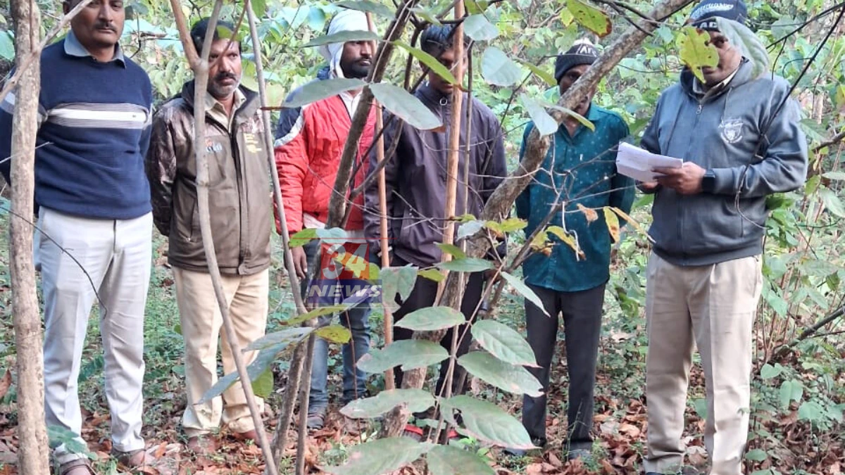 chandrapur tiger human conflict updates