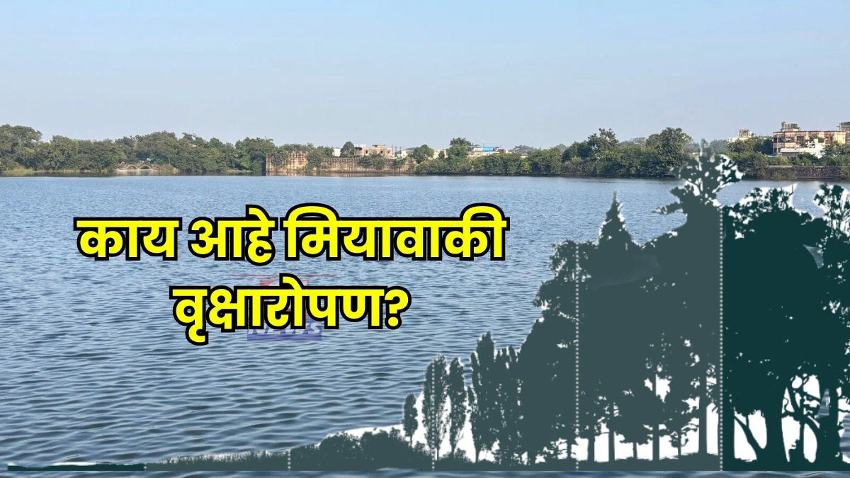 miyawaki plantation method for chandrapur