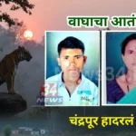 Chandrapur tiger attack