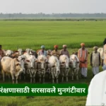 Gau Protection maharashtra