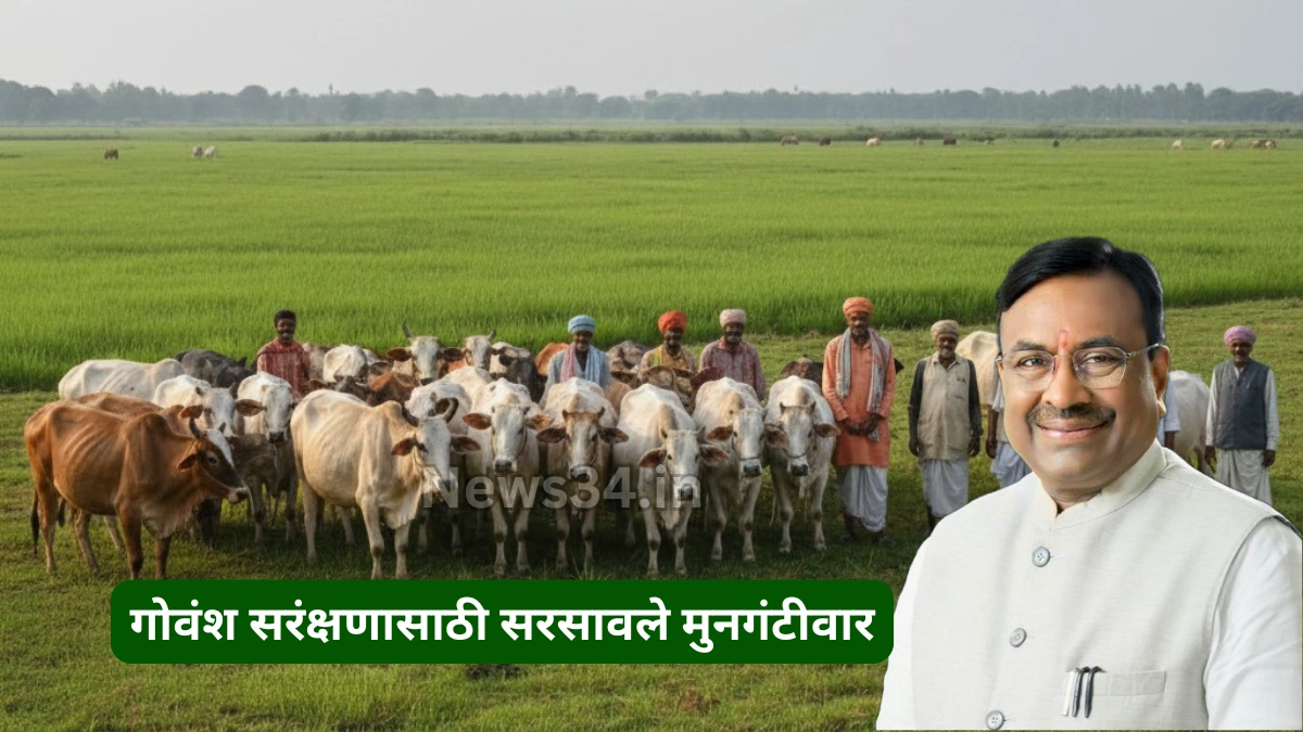 Gau Protection maharashtra