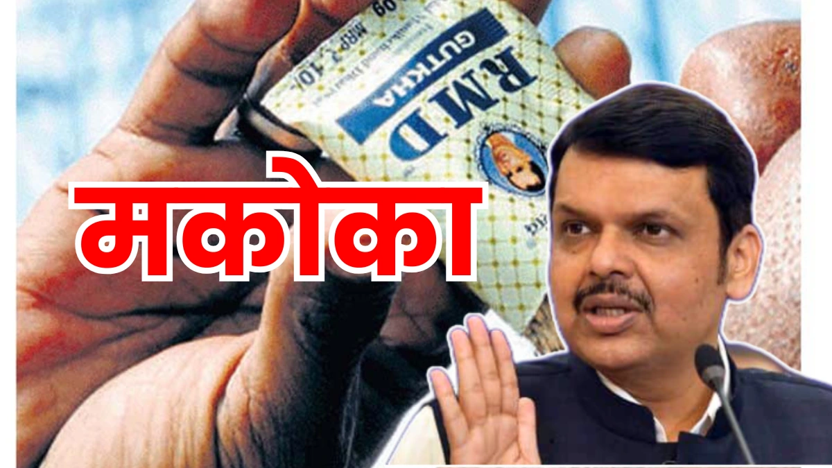 MCOCA on gutkha trade