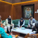 Permanent house patta