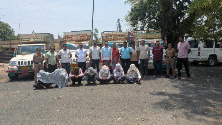 Illegal Cattle Transport प्रकरणात चंद्रपूर पोलिसांनी जप्त केलेली पिकअप वाहने आणि मुक्त करण्यात आलेले गोवंश.