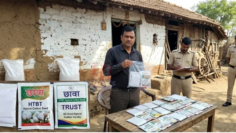 Fake Cotton Seeds कारवाईदरम्यान चंद्रपूर जिल्ह्यातील शेगाव येथे कृषी विभागाने जप्त केलेल्या HTBT बियाण्यांचा साठा.