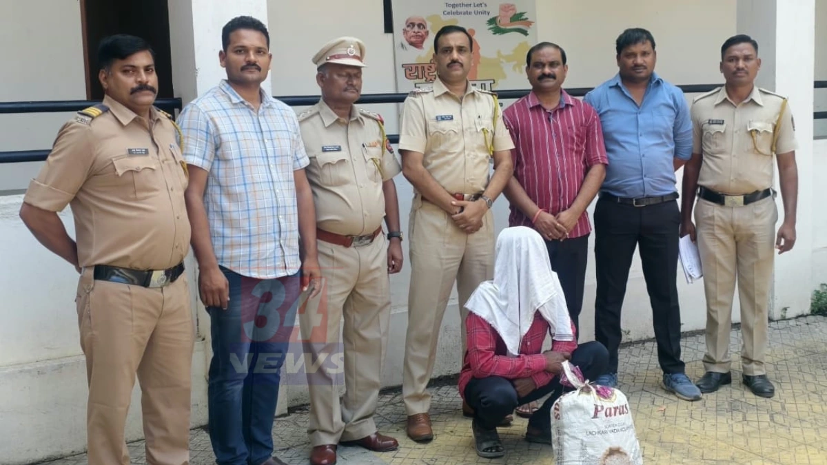 Chimur Ganja Seizure police raid in Chandrapur district