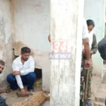Injured Chital rescue operation in Babupeth Chandrapur