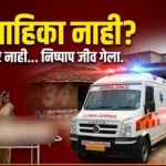 Jivati Snake Bite Death - जिवतीतील सर्पदंशानंतर सहा वर्षीय मुलाचा मृत्यू