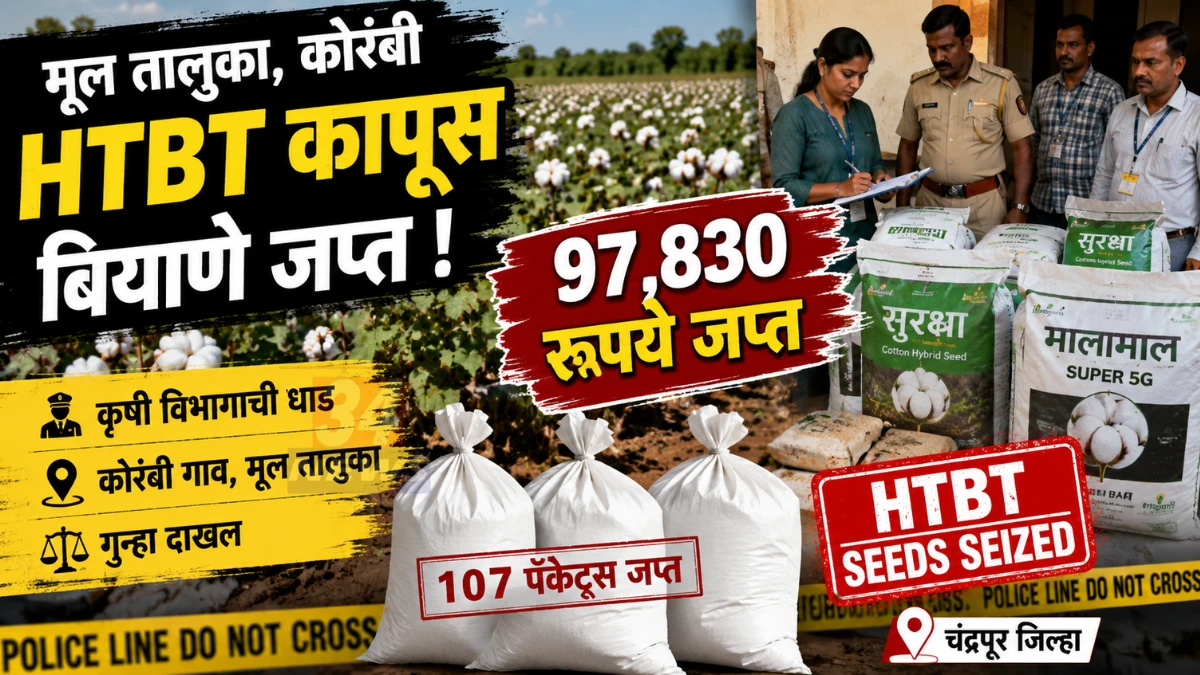 Mul HTBT Seeds प्रकरणात कोरंबी येथे प्रतिबंधित कापूस बियाणे जप्त