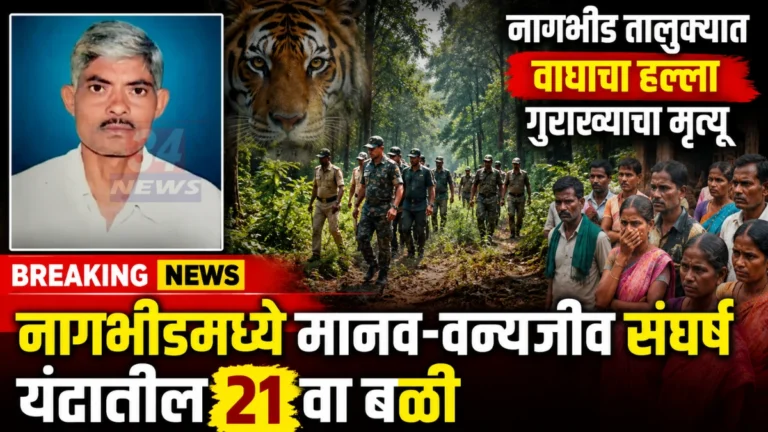 Nagbhid Wildlife Conflict मध्ये गिरगाव जंगलात गुराख्याचा मृत्यू