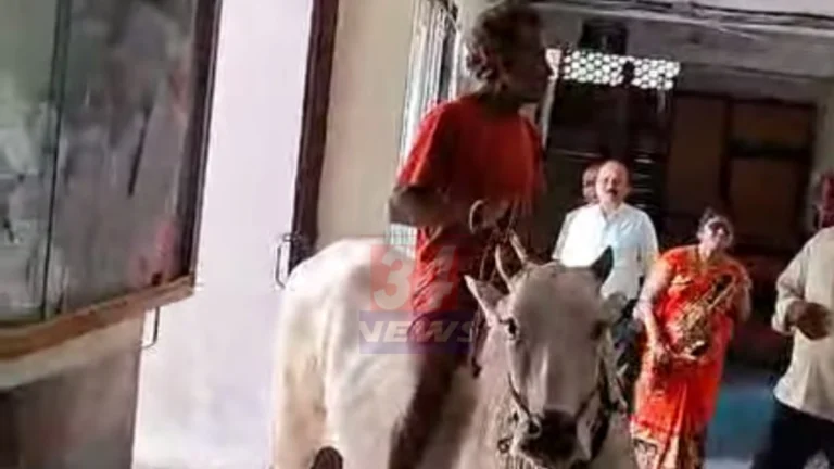 Farmer On Bullock दरम्यान बैलावर स्वार शेतकरी तहसील कार्यालयात