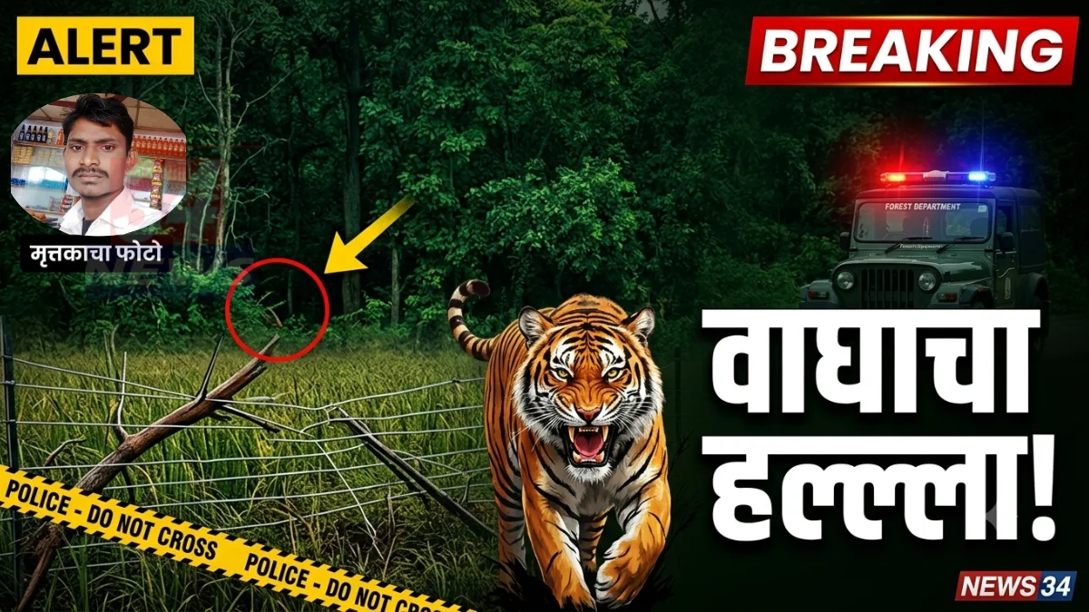Tadoba Tiger Attack : चोरगाव येथे वाघाच्या हल्ल्यानंतर घटनास्थळी वन विभागाचे पथक