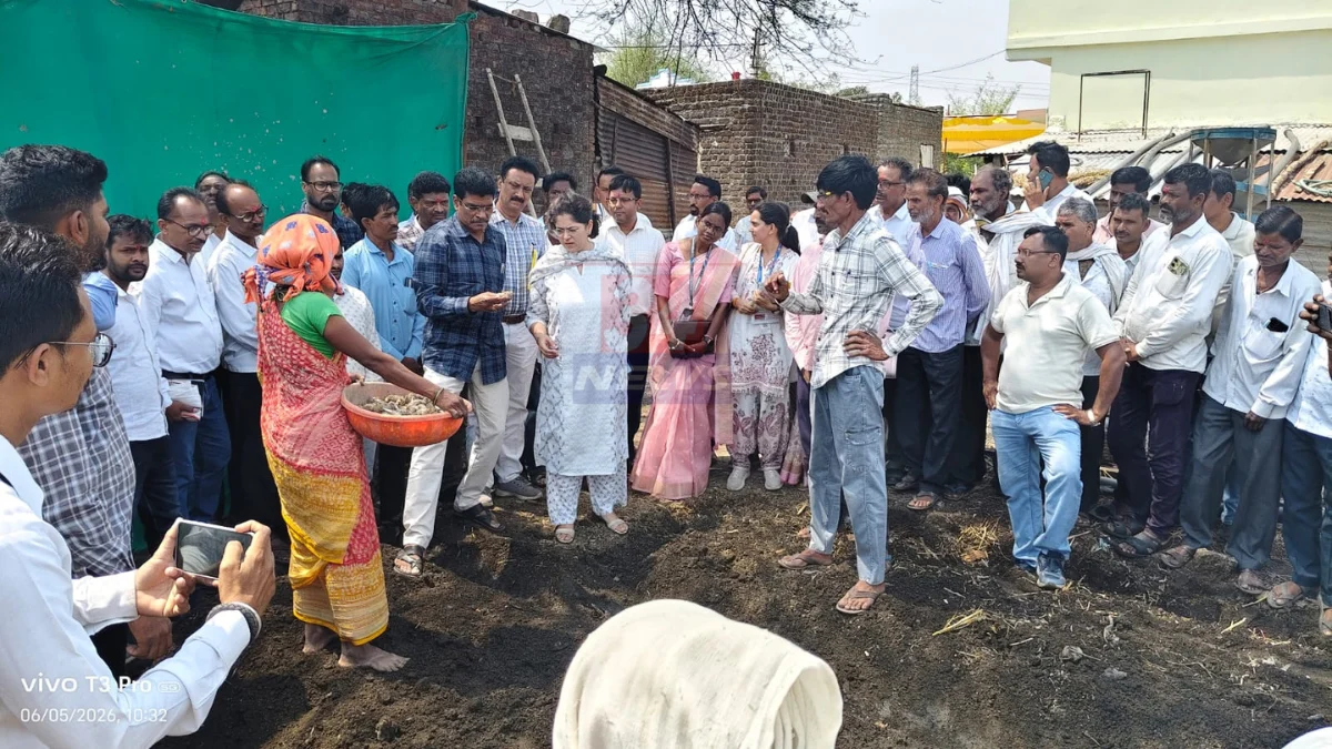 चंद्रपूरच्या Waghya Turmeric ला GI Tag मिळवण्यासाठी प्रशासनाचे प्रयत्न