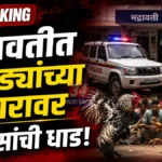 कोंबड्यांच्या झुंजीवर सुरु होता जुगार, ५ कोंबड्यांसह चौघांना पकडले Bhadravati Cockfight Raid भद्रावती पोलिसांची जुगार अड्ड्यावर कारवाई