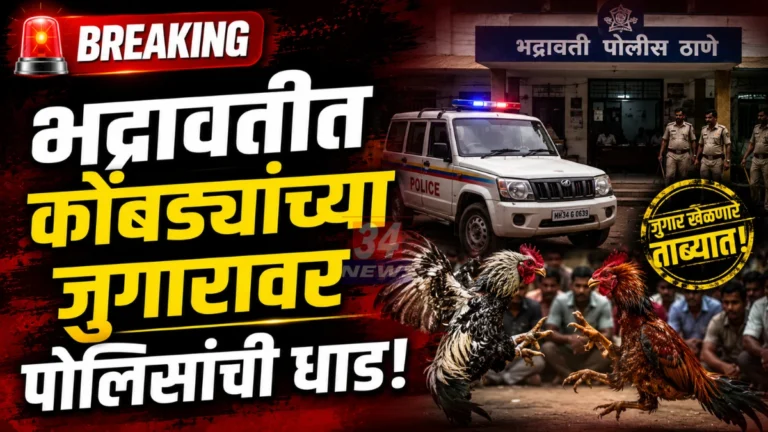 Bhadravati Cockfight Raid भद्रावती पोलिसांची जुगार अड्ड्यावर कारवाई