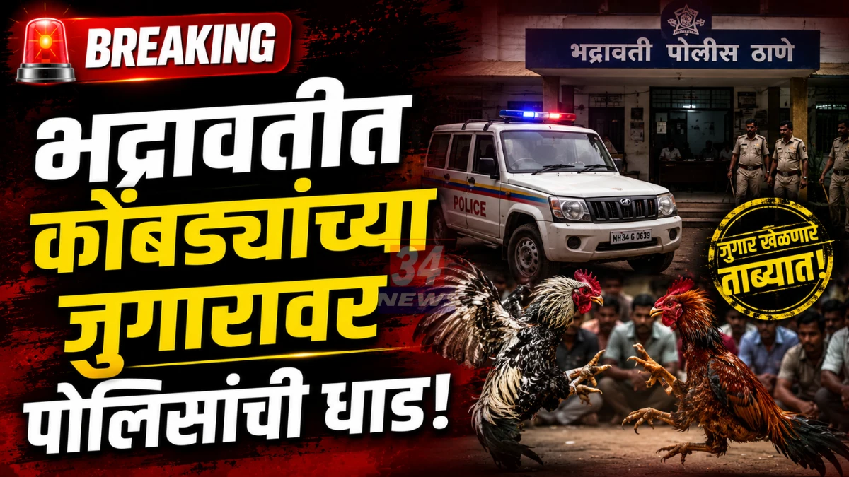 Bhadravati Cockfight Raid भद्रावती पोलिसांची जुगार अड्ड्यावर कारवाई