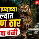 Brahmapuri Wild Animal Attack Tiger Attack Chandrapur News34