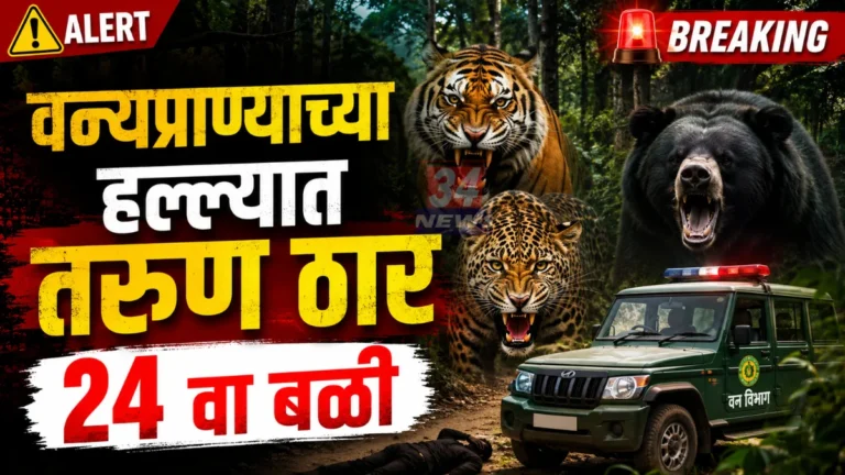 Brahmapuri Wild Animal Attack Tiger Attack Chandrapur News34