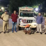 Chandrapur Cattle Smuggling