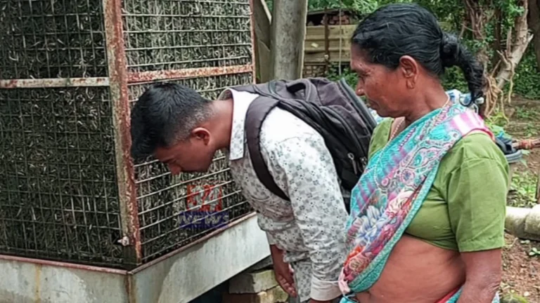 Chandrapur Dengue Preventive Drive NMC Health Worker Inspection