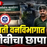 भद्रावतीत लाचखोर वन कर्मचाऱ्यांना दणका; तक्रारदाराच्या धाडसाने पोलखोल!, ३ ताब्यात Forest Department Bribe Case Bhadravati ACB Raid Chandrapur