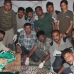 Nagbhid Leopard Rescue दरम्यान कोरंबी गावातील घरात घुसलेल्या बिबट्याला वनविभागाने सुरक्षित पकडले