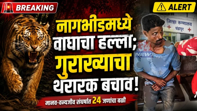 Nagbhid Tiger Attack