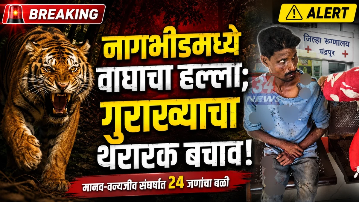 Nagbhid Tiger Attack