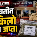 Police Ganja Raid - भद्रावती पोलिसांची गांजा जप्ती कारवाई